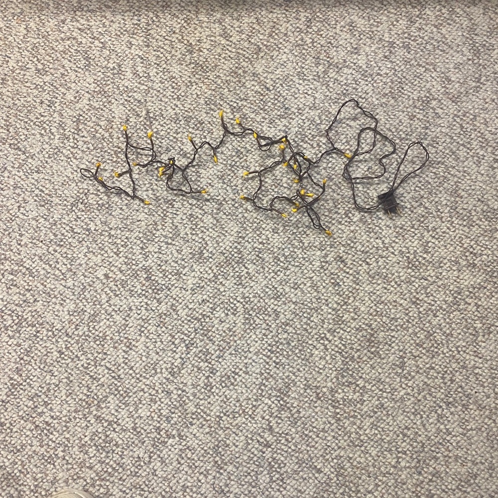 String Lights with Yellow Bulbs